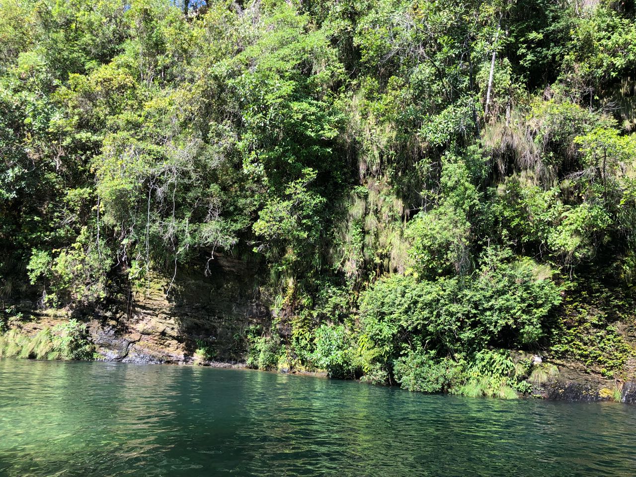 IMG-20180826-WA0008