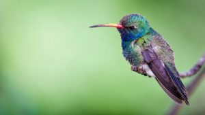 philip-brown-542126-unsplash