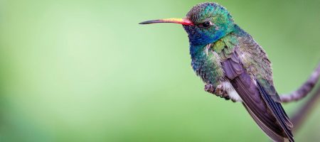 philip-brown-542126-unsplash