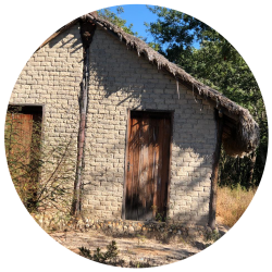 projetos